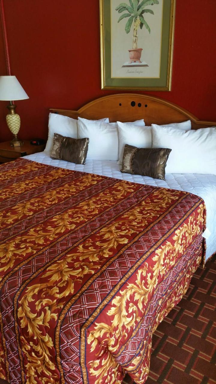 Palms Inn Dania Beach Ngoại thất bức ảnh
